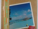 Island Band - Long Summer Days LP - Woorell Japan - Hawaiian AOR Soul VG++ Obi