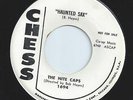 THE NITE CAPS popcorn HAUNTED SAX tittyshaker 45 HEAR