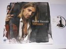 LP/DAVID GARRETT/VIRTUOSO/Loving Music LP 83046 FOC