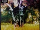 Animal Collective - Meeting Of The Waters 12