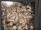 Welcome to Venice vinyl LP ORIG 1985 Press Suicidal Tendencies BEOWULF No Mercy