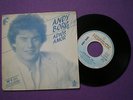 ANDY BORG Adios Amor SING IN ENGLISH 45 SPAIN 1982 Hispavox