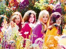 HONEY LTD - COMPLETE LHI RECORDINGS NEW VINYL