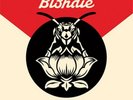 Blondie - Pollinator [LP] (Heavyweight Vinyl) 2017