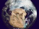 SAMSARA BLUES EXPERIMENT - ONE WITH THE UNIVERSE   VINYL LP NEW+