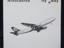 Minotaurus/Fly Away Krautrock ORIG private LP Airplane Cover KRAUT PROG PSYCH