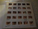 JOHN CALE - The Academy In Peril - Lp import  Near-Mint  Velvet Underground