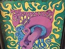 ORIG 1969 THE SACRED MUSHROOM LP PARALLAX Fuzzed Blues Garage PSYCH VG+