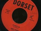 Jerry Warren - Tremble / Rompin - great rocking instro 45 HEAR