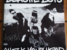 SIGNED by all 3 BEASTIE BOYS Check Your Head AUTOGRAPHED 2 LP - stunning