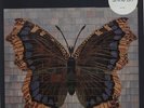 The House Of Love House Of Love UK vinyl LP album record 842293-1 FONTANA 1990