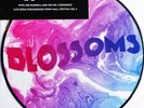 BLOSSOMS 10