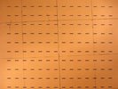 LED ER EST - Dust On Common (Record Store Day 2017) - Vinyl (LP)