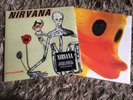 Nirvana - Incesticide - Sealed 180g Vinyl LP Sliver + Download