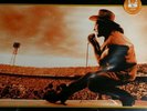 U2 - IN ORANGE -  DOUBLE  LP - ORANGE VINYLE - NEUF