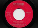 Hoagy Lands & Lily Lillie Fields - When Love Comes / Beautiful Music (Soul, 45)