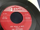 THE JOYTONES Gee What A Boy  / Is This Really The End   RARE Doo Wop 45 RAMA 202