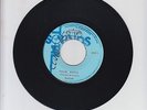TOTAL SOUNDS/ FALSE RASTA  -  GAYLADS  (77  REGGAE ROOTS 7