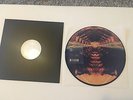 Bonobo Cirrus Picture Disc Vinyl