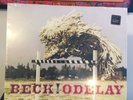 Beck  Odelay Vinyl Me Please LP