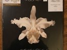 Kings of Leon - Aha Shake Heartbreak White/ Gold 2 LP Vinyl Limited #898 of 1000