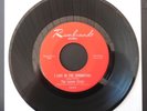 The Lemon Drops - Rembrant 5009 - 1967 Psych/Garage - Promo