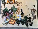 Progressiv Rock Vinyl-LP   Magna Carta ?– Seasons