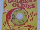 MINT SEALED RARE Psychotic Reaction Count Five Promo in Motion 45