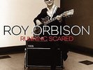 ORBISON, ROY-Running Scared (180g) (2LP)  VINYL NEW