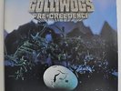 The Golliwogs Pre-Creedence Japan LP 1981 Promo Victor VIP-51152 Insert