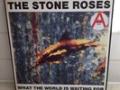 The Stone Roses - What The World Is Waiting For feat. Fools Gold - Vinyl