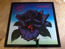 Thin Lizzy LP Black Rose UK Vertigo 1st press NICE COPY
