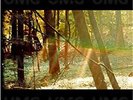 Childish Gambino Camp Ltd 12