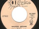 HEAR Steve Ellis And His Starfires-Walking Around '65 MN GARAGE POP GEM 2-SIDER