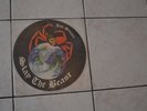 Skinhead  28 ROCK O RAMA  SLAY THE BEASTPICTURE VINYL