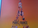 Rolling Stones paris france poster  lithograph live  14 on FireTour LITHO