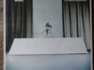 WIRE - Chairs Missing. Harvest SHSP 4093  1978  VG+