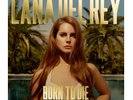 Lana Del Rey: Born To Die - The Paradise Edition LP