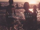 Linkin Park: One More Light LP