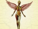 In Utero Vinyl by Nirvana 1Record by Nirvana.