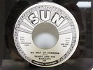 Randy And The Radiants Sun #398 My Way Of Thinking / Truth From My Eyes Promo