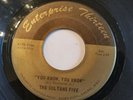 Rare 45 Garage Record The Sultans Five Enterprise Thirteen VG RACINE WI