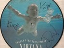Nirvana signed picture disc autograph