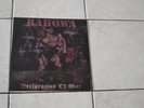 Skinhead  28 ROCK O RAMA  Declaration Of WarBLACK VINYL