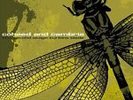 The Second Stage Turbine Blade by Coheed and Cambria Vinyl Rare
