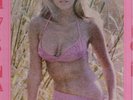 VINYL  LP  //  NANCY  SINATRA   ---   SUGAR