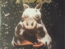 Primus Pork Soda Lp 180-G (Vinyl, Sep-2009, 2 Discs, Plain Recordings) NM Rare