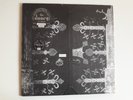 The Doors - Go Insane - 2 LP 12