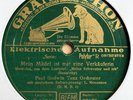Paul Godwin Orch. - Mein Mädel ist nur eine Verkäuferin / Um das bisschen Liebe