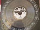 Boris Vein Picture Disc Test Pressing Melvins